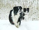 Jesse and Jouko enjoying the snow