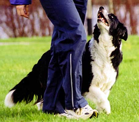 Photo by Lea P�yli�