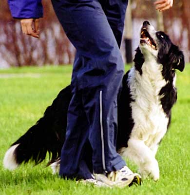 Photo by Lea P�yli�