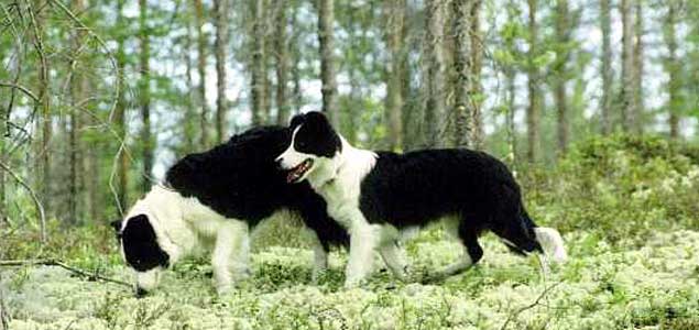 Photo by Minna V�yrynen