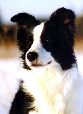 Photo by Minna V�yrynen