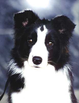 Photo by Lea P�yli�