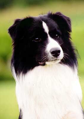 Photo by Lea P�yli�