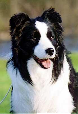 Photo by Lea P�yli�