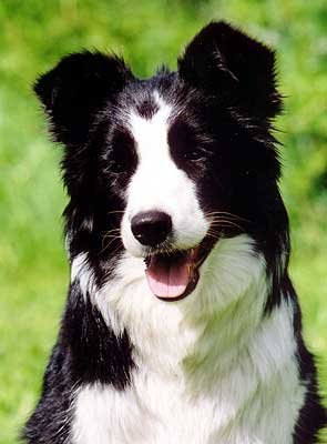 Photo by Lea P�yli�