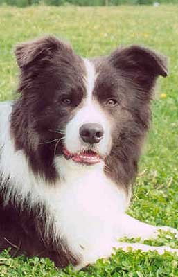 Photo by Minna R�s�nen