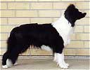 Int Fin Ch FinW-98,-99,-00 NORDW-99 Borderfame Talk Oth Town
