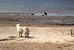 Nasta and Klli on the beach