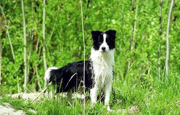 Photo by Minna V�yrynen