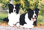 Jojo and Cola summer 1999