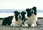 Oona and Jeeves summer 1999