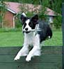 Spooky jumping
